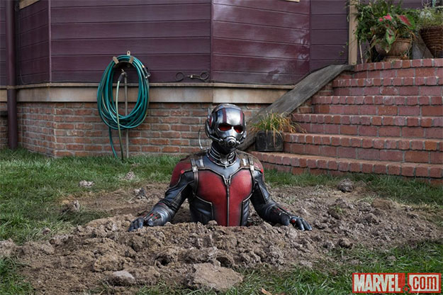 Nueva imagen de Ant-Man
