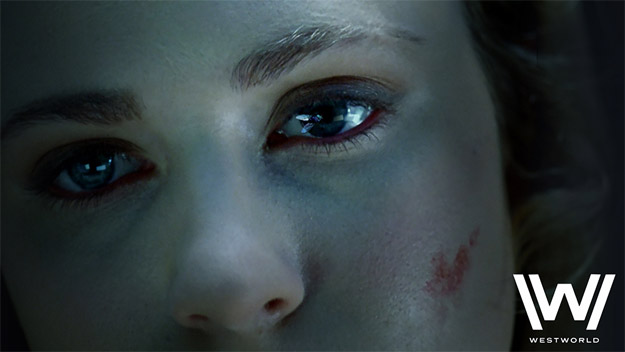 El "Westworld" de HBO nos pregunta si nos hemos cuestionado la naturaleza de nuestra realidad